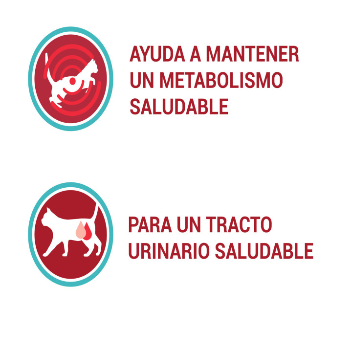 Purina One finas láminas en salsa esterilizados - PiensoyMascotas