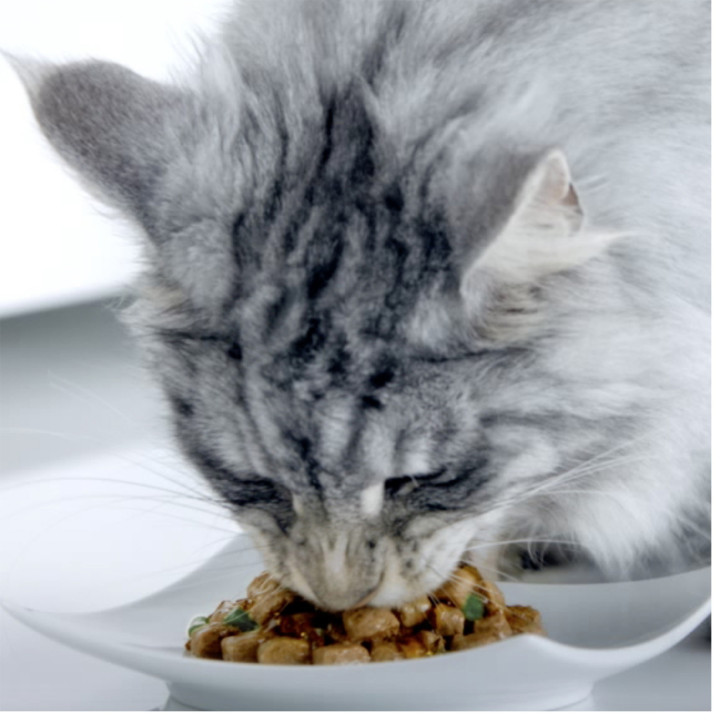Purina One finas láminas en salsa esterilizados - PiensoyMascotas