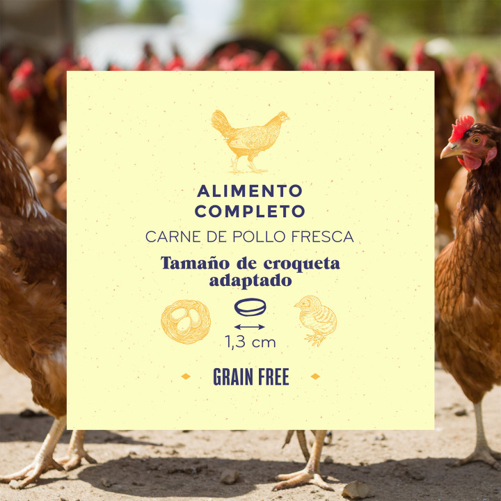 Boske Adult Grain Free Pienso Natural con Pollo - Kompymascotas