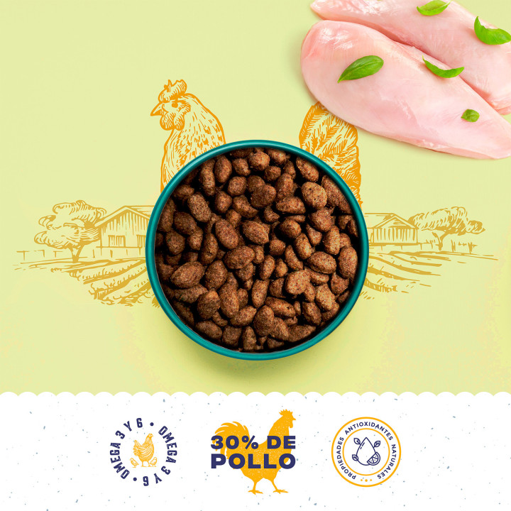 Boske Adult Grain Free Pienso Natural con Pollo - Kompymascotas