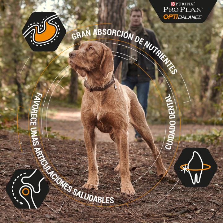 Purina Pro Plan Adult Large Athletic Pienso para perros - Kompymascotas