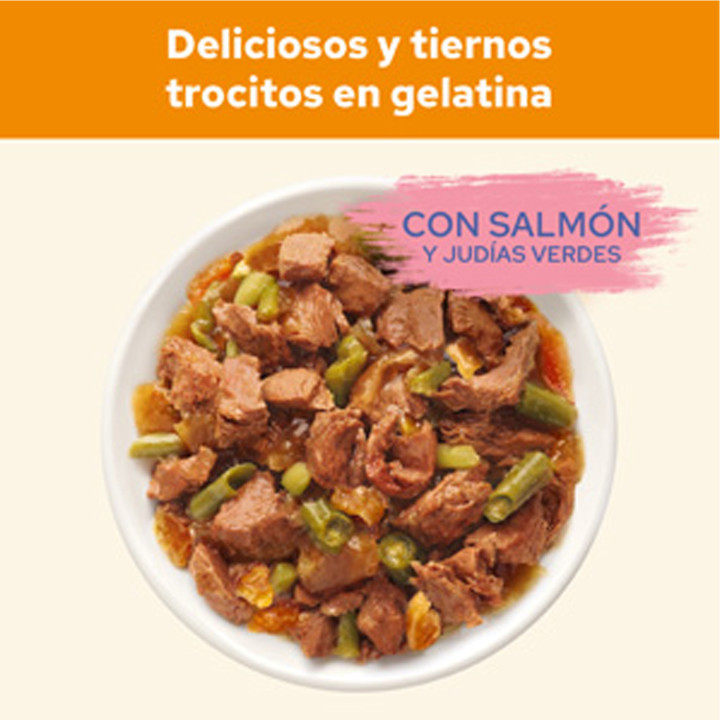 Purina Cat Chow Adulto , Comida húmeda para gatos - Kompymascotas