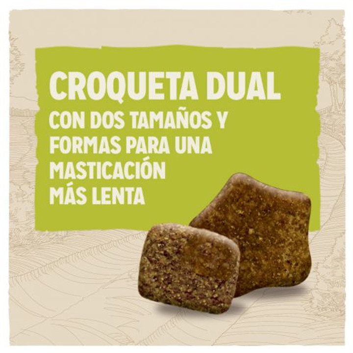 Purina Dog Chow Adulto Razas Grandes con Pavo - Kompymascotas