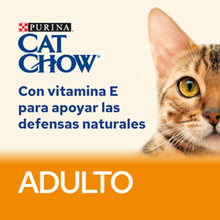Purina Cat Chow Adulto con Buey, Comida húmeda para gatos - Kompymascotas