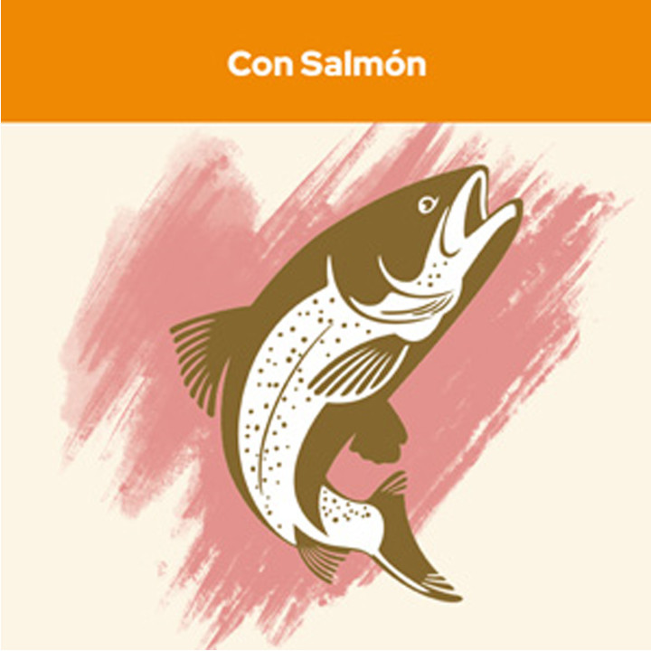 Cat Chow Adult Salmón y Atún Pienso para gatos - Kompymascotas