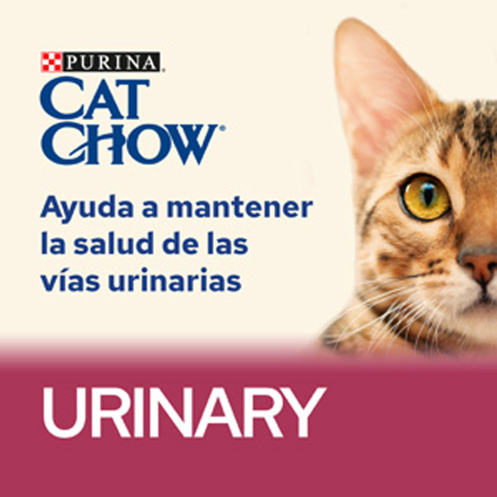 Cat Chow Special Care Urinary UTH Pienso para gatos - Kompymascotas
