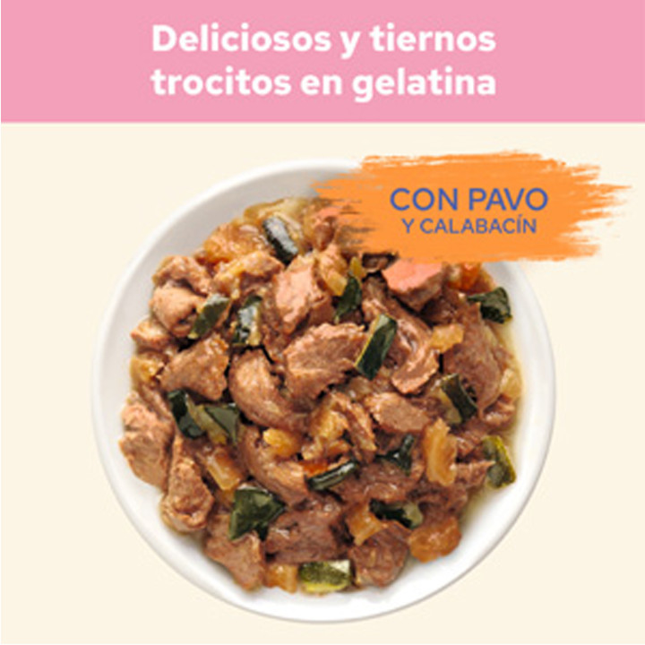 Purina Cat Chow Gatito con Pavo, Comida húmeda para gatos - Kompymascotas