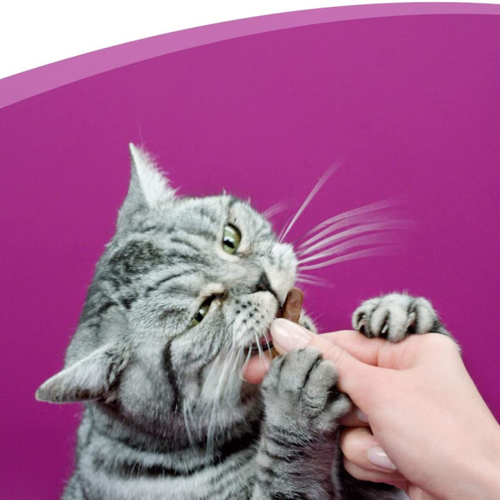 Whiskas Sticks con Pollo
