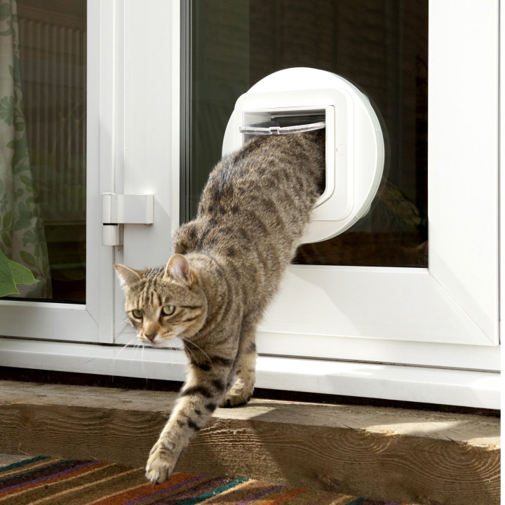 SureFlap Puerta para mascotas blanca - kompymascotas.com