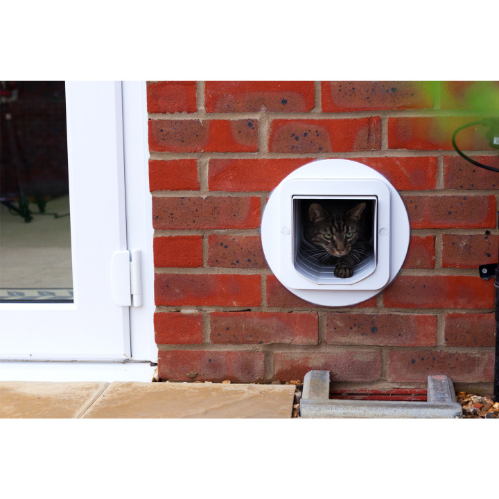 SureFlap Puerta para mascotas blanca - kompymascotas.com