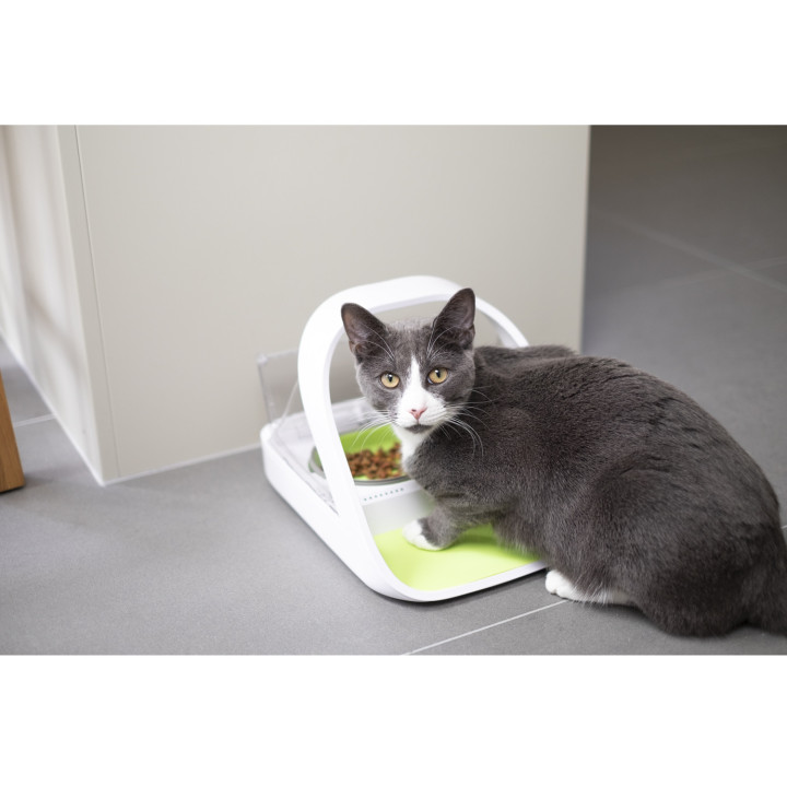 Comedero automático con Microchip SureFeed - kompymascotas.com