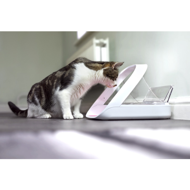 Comedero automático Microchip Connect - kompymascotas.com