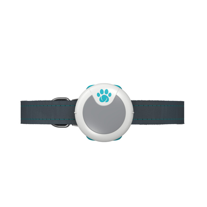 Animo Monitor de comportamiento y actividad - kompymascotas.com