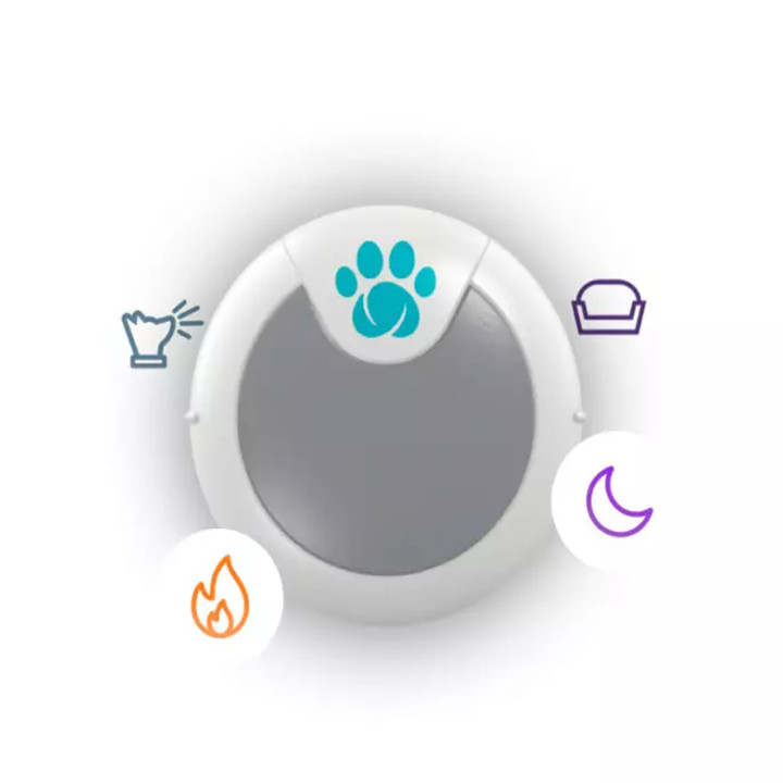 Animo Monitor de comportamiento y actividad - kompymascotas.com