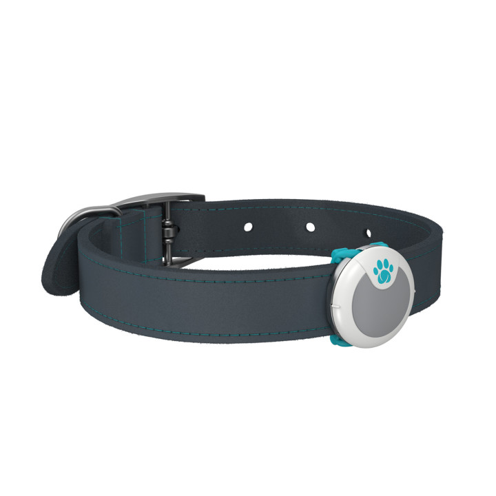 Animo Monitor de comportamiento y actividad - kompymascotas.com