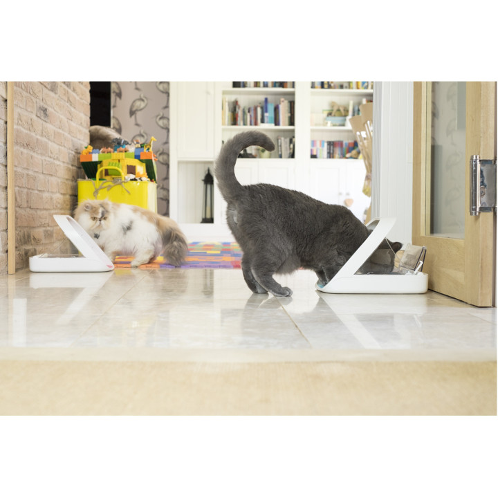 Comedero automático con Microchip SureFeed - kompymascotas.com
