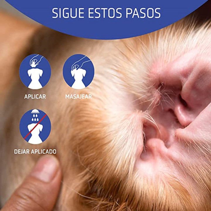 Artero Higiene Aurigel (Limp.de oidos), Higiene para gatos - Kompymascotas