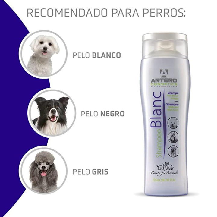 Champú para perro Artero Blanc - Kompymascotas