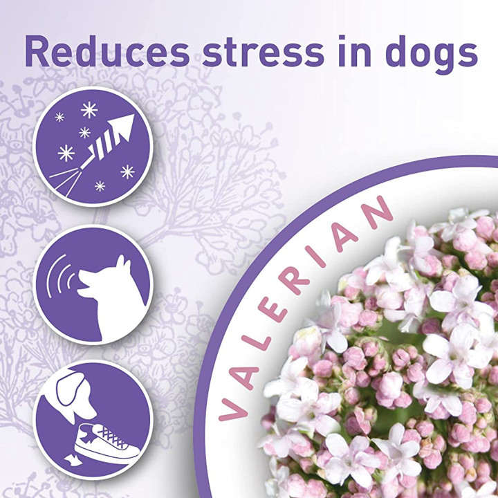 Calming collar perro 65cm - PiensoyMascotas