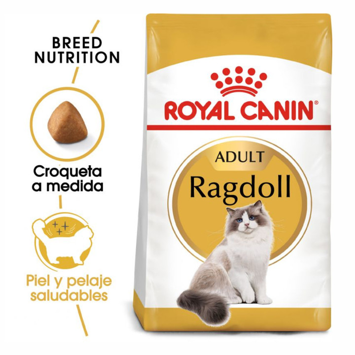 Royal Canin Ragdoll Pienso para Gato - Kompymascotas