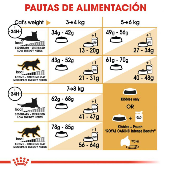 Royal Canin Ragdoll Pienso para Gato - Kompymascotas