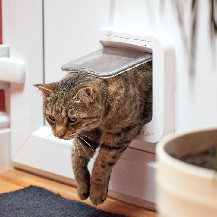 Gatera SureFlap con Microchip - kompymascotas.com