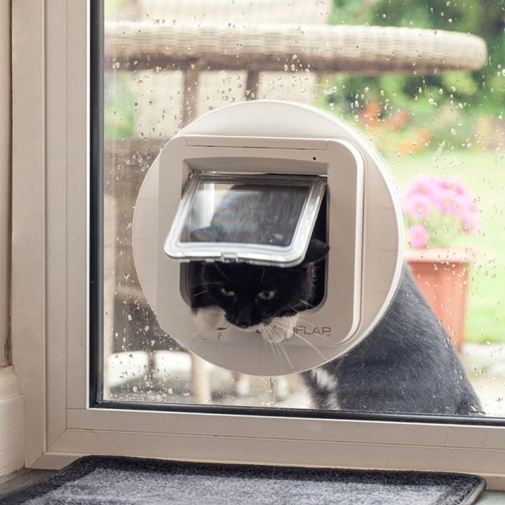 Gatera SureFlap con Microchip - kompymascotas.com