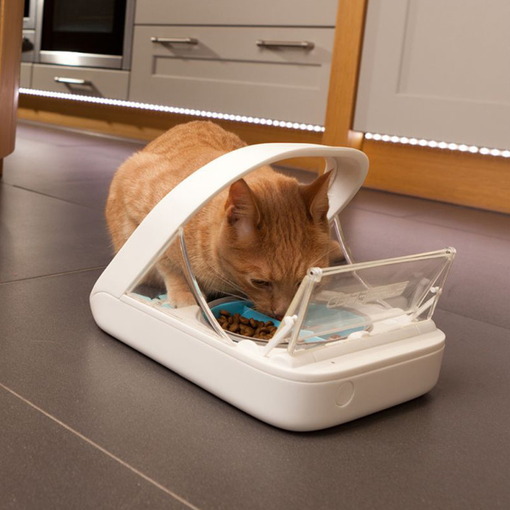 Comedero automático con Microchip SureFeed - kompymascotas.com