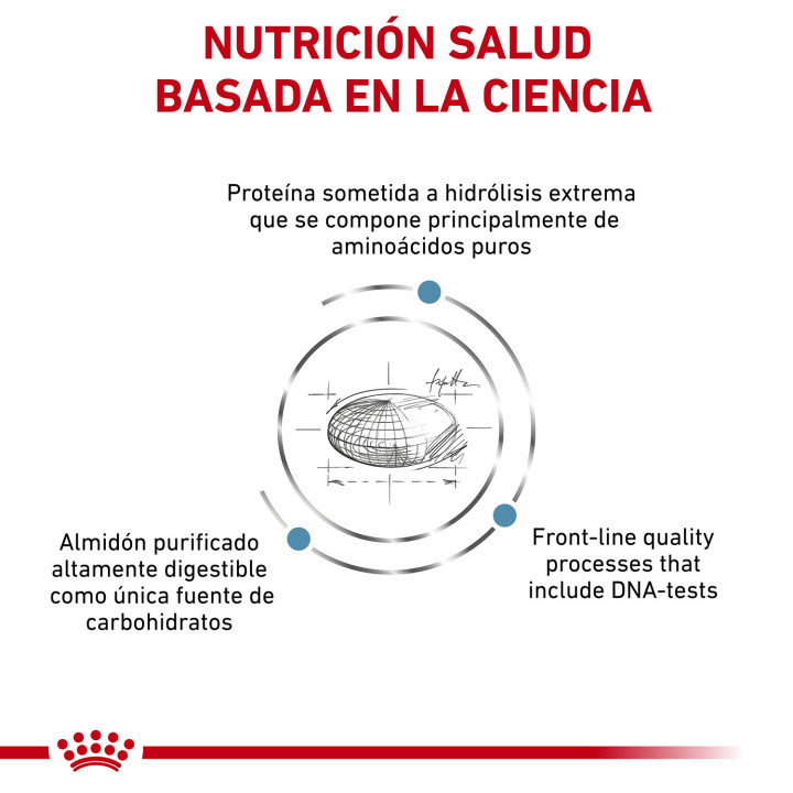 Royal Canin Anallergenic AN 24, Pienso para gatos - Kompymascotas