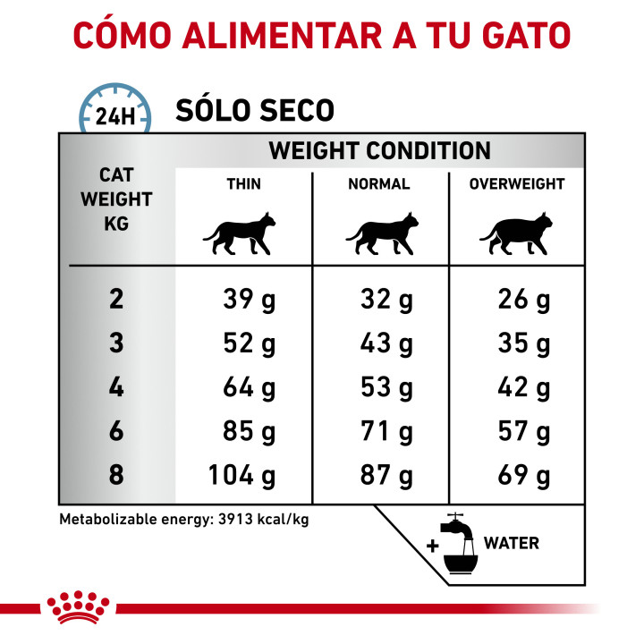 Royal Canin Anallergenic AN 24, Pienso para gatos - Kompymascotas