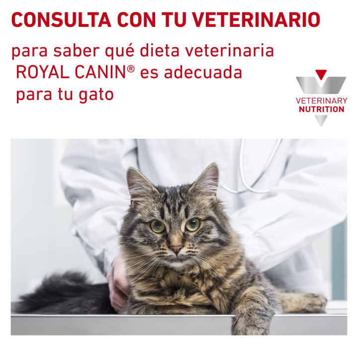 Pienso veterninario Royal Canin para gatos Hypoallergenic - Kompymascotas