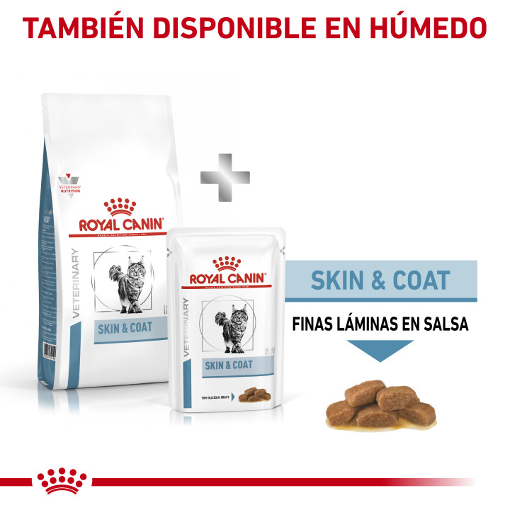 Indicado para gatos con neurodermatitis atópica 