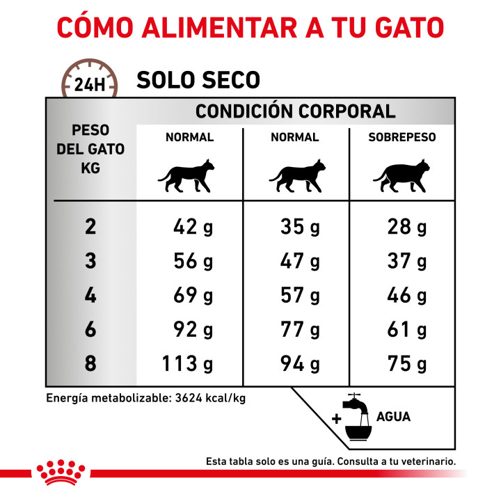Royal Canin Gastro Intestinal Hairball Veterinary Diet pienso para 