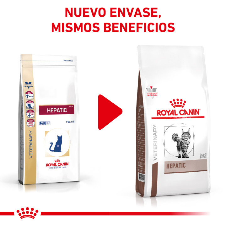 Royal Canin Veterinary Diet Hepatic, Pienso para gatos - Kompymascotas