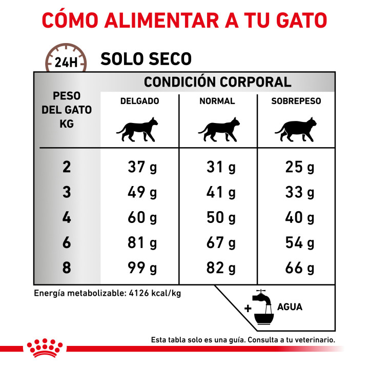 Royal Canin Veterinary Diet Hepatic, Pienso para gatos - Kompymascotas