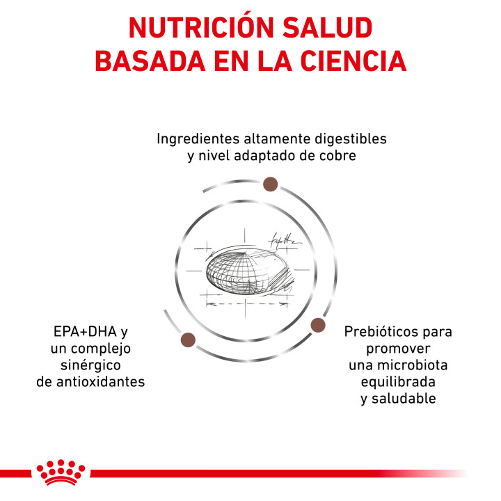 Royal Canin Veterinary Diet Hepatic, Pienso para gatos - Kompymascotas