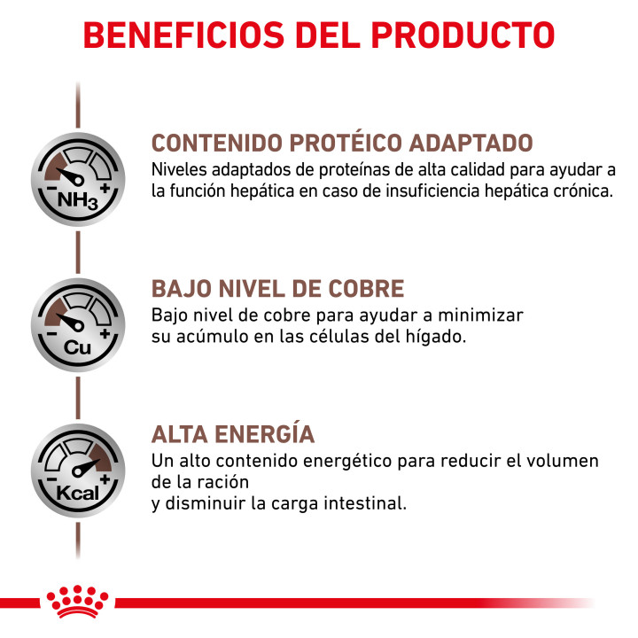 Royal Canin Veterinary Diet Hepatic, Pienso para gatos - Kompymascotas
