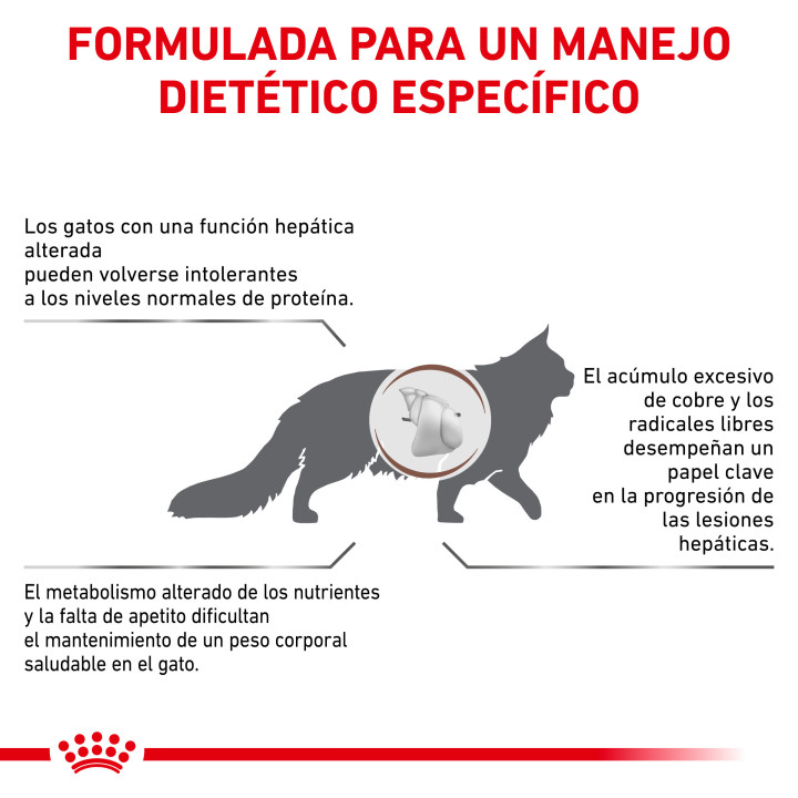 Royal Canin Veterinary Diet Hepatic, Pienso para gatos - Kompymascotas