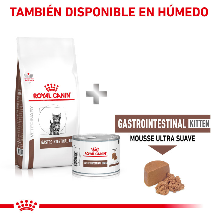 Royal Canin Gastro intestinal Kitten - Kompymascotas