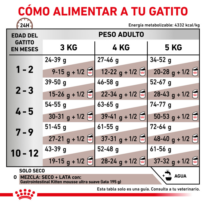 Royal Canin Gastro intestinal Kitten - Kompymascotas