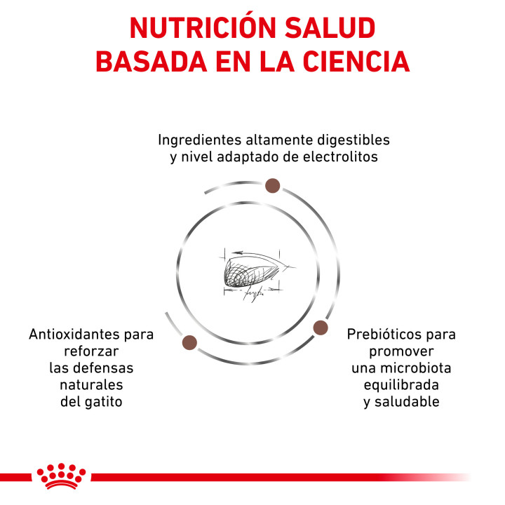 Royal Canin Gastro intestinal Kitten - Kompymascotas