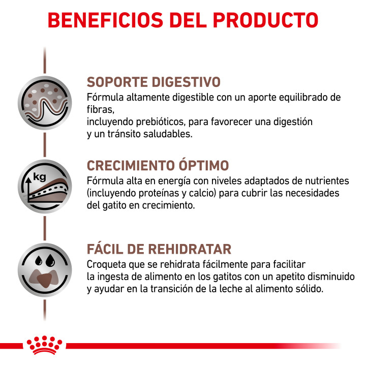 Royal Canin Gastro intestinal Kitten - Kompymascotas