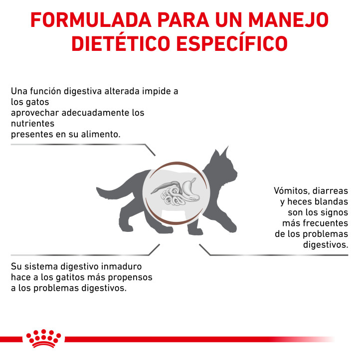 Royal Canin Gastro intestinal Kitten - Kompymascotas