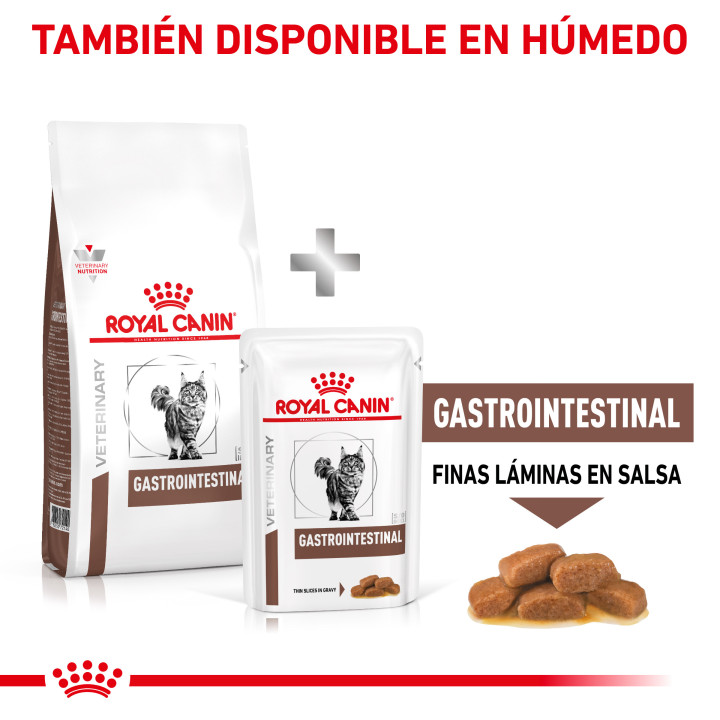 Pienso veterninario Royal Canin para gatos Gastro Intestinal - Kompymascotas
