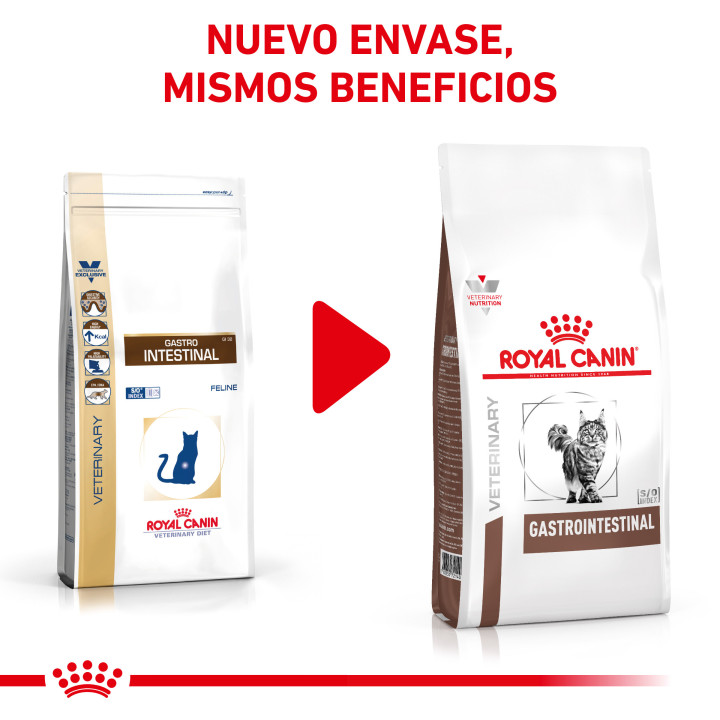 Pienso veterninario Royal Canin para gatos Gastro Intestinal - Kompymascotas