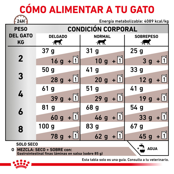 Pienso veterninario Royal Canin para gatos Gastro Intestinal - Kompymascotas