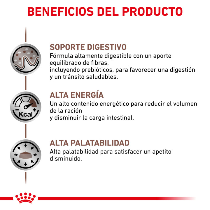 Pienso veterninario Royal Canin para gatos Gastro Intestinal - Kompymascotas