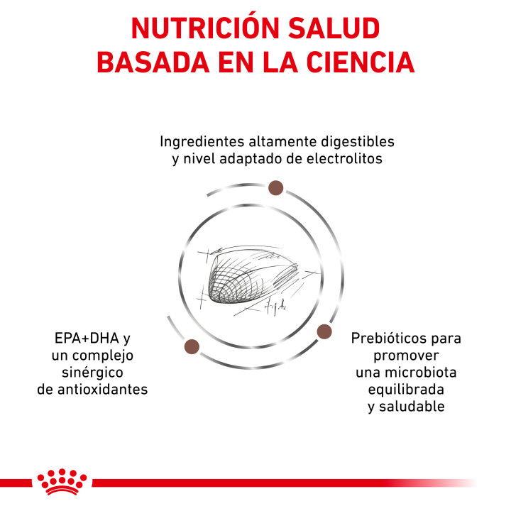 Pienso veterninario Royal Canin para gatos Gastro Intestinal - Kompymascotas