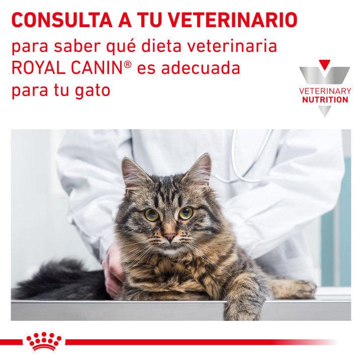 Pienso veterninario Royal Canin para gatos Gastro Intestinal - Kompymascotas