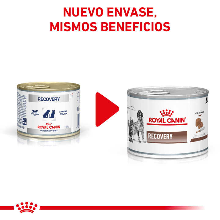 Latas para perros de Royal Canin Recovery, comida húmeda - Kompymascotas